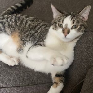 Meet your Posher, Deanna